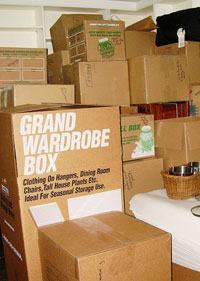 Packing and Organizing