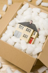 Moving Overseas with pets